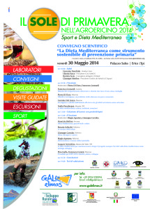 Convegno Idimed Erice 30 maggio 2014